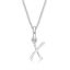 Picture of 'X' FOR X-RAY, MINI PEND. with CHAIN